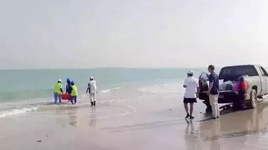 PA尊龙凯时 - 人生就是搏!