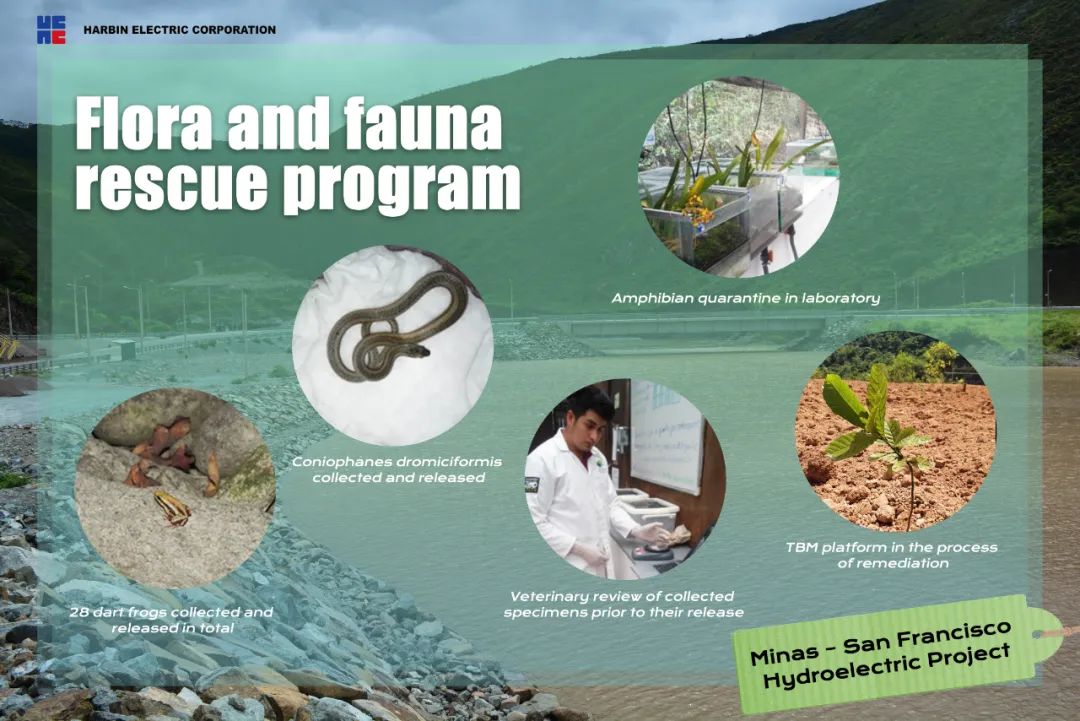 PA尊龙凯时 - 人生就是搏!