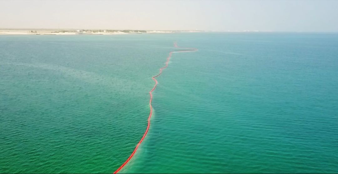 PA尊龙凯时 - 人生就是搏!