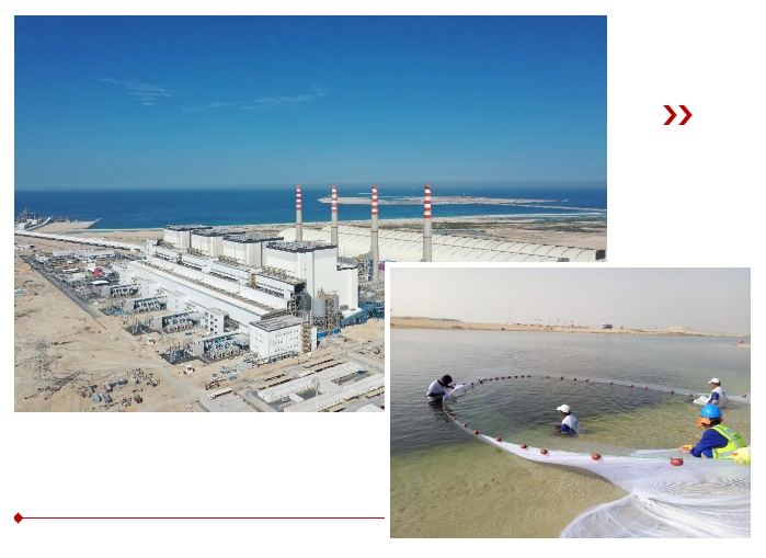 PA尊龙凯时 - 人生就是搏!