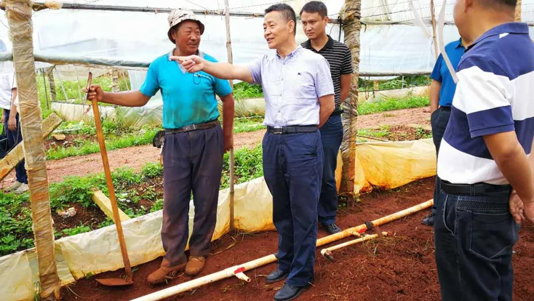 PA尊龙凯时 - 人生就是搏!