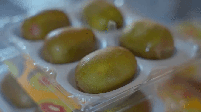 PA尊龙凯时 - 人生就是搏!