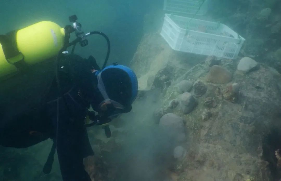 PA尊龙凯时 - 人生就是搏!