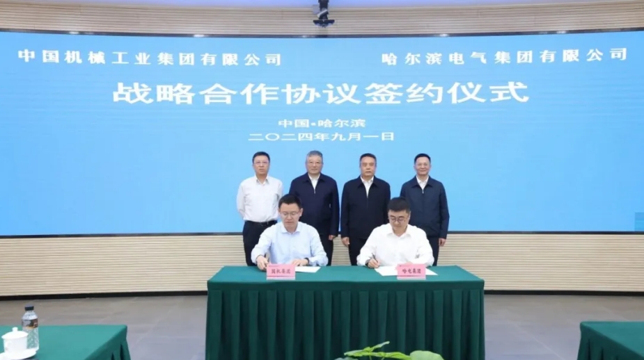 808E12231DE6AFEFD0E71AD350B_5BF79A9A_360F3.jpg?e=