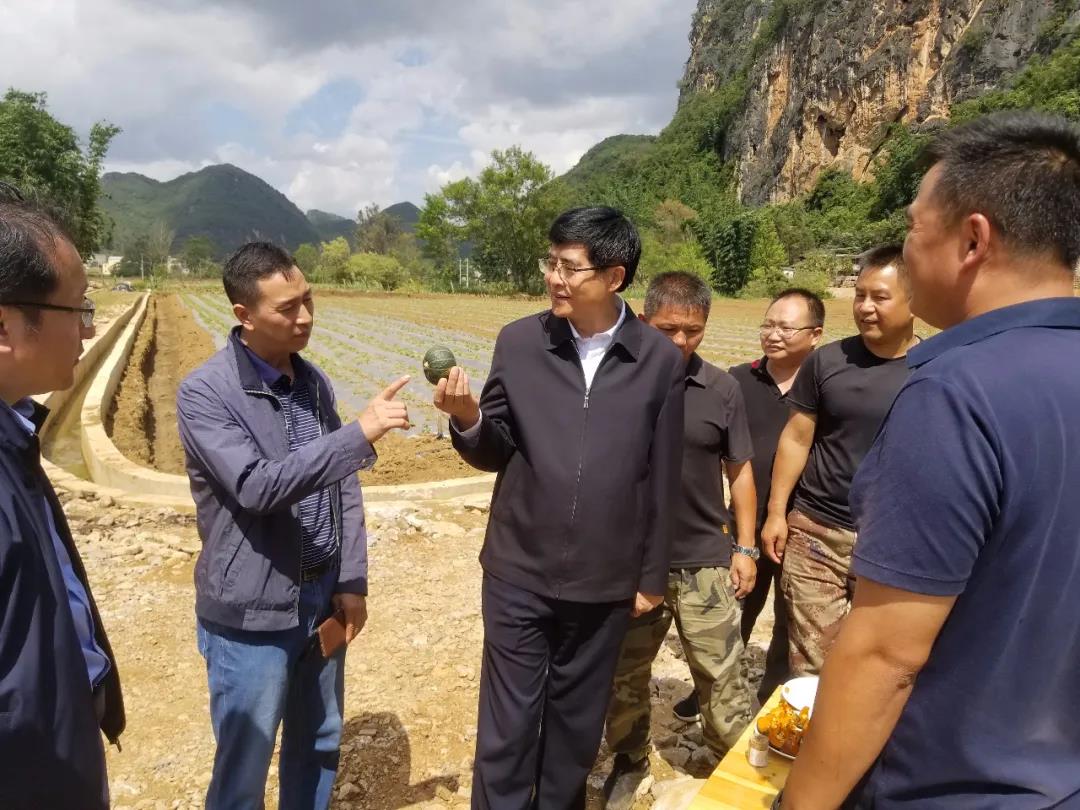 PA尊龙凯时 - 人生就是搏!