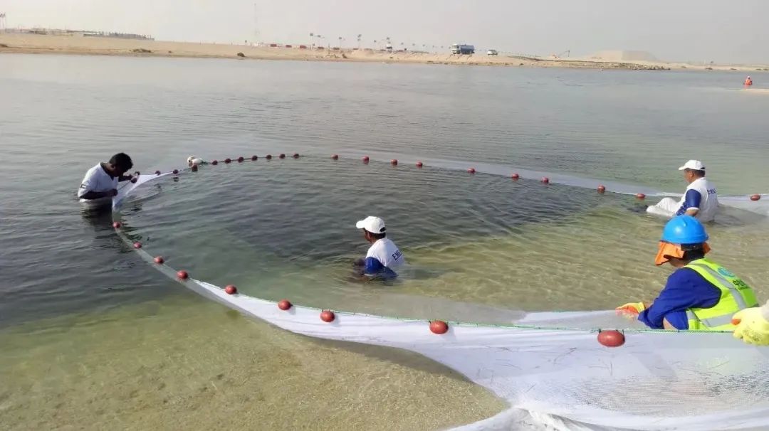 PA尊龙凯时 - 人生就是搏!