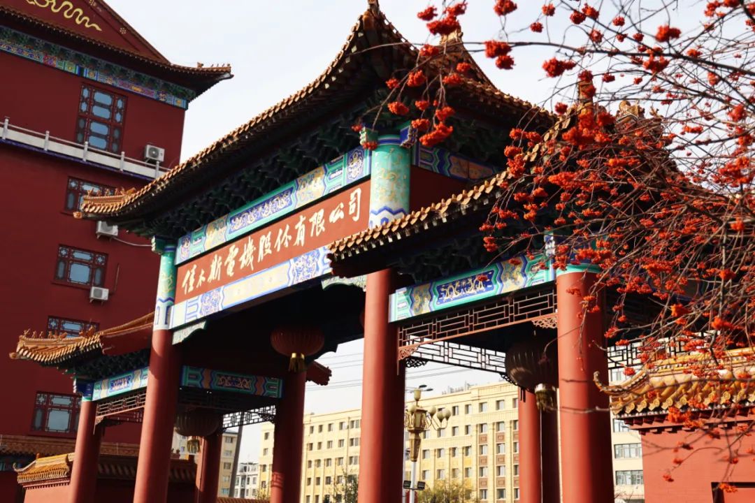 PA尊龙凯时 - 人生就是搏!