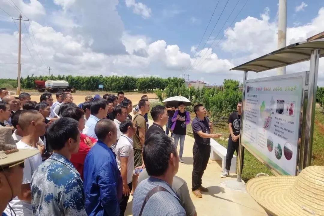 PA尊龙凯时 - 人生就是搏!