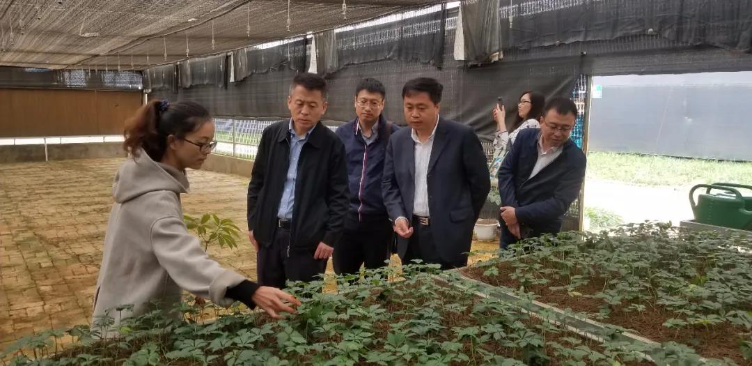 PA尊龙凯时 - 人生就是搏!