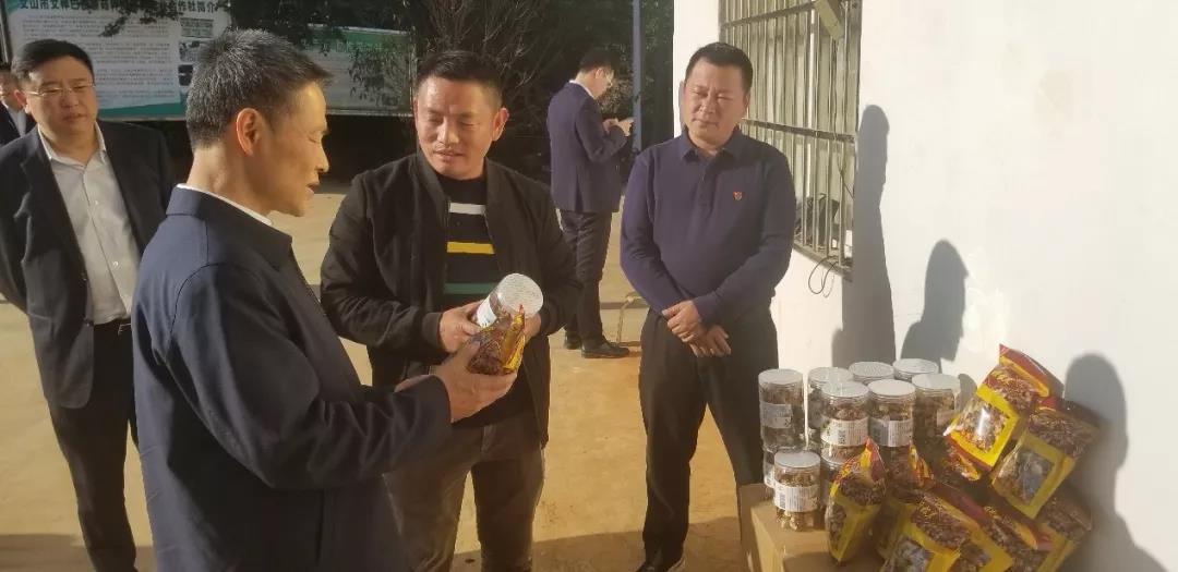 PA尊龙凯时 - 人生就是搏!