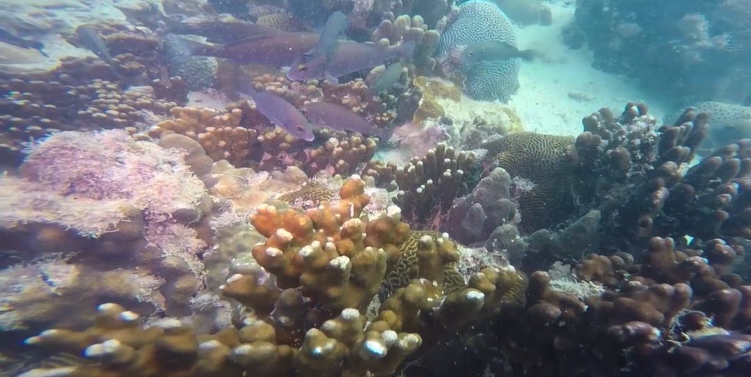 PA尊龙凯时 - 人生就是搏!