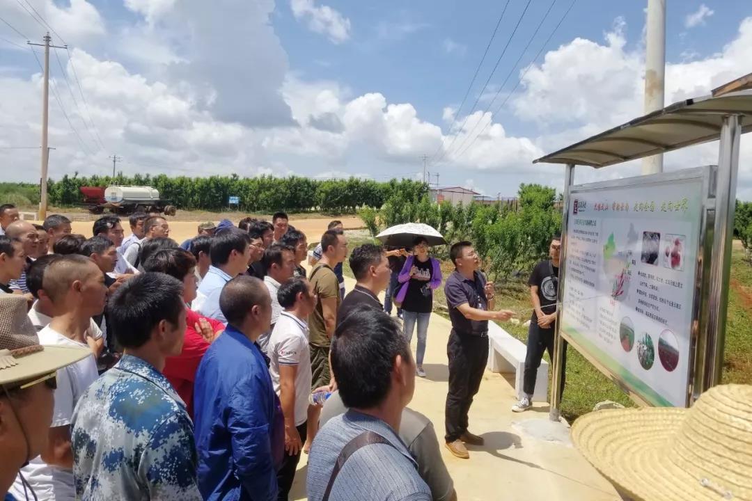 PA尊龙凯时 - 人生就是搏!