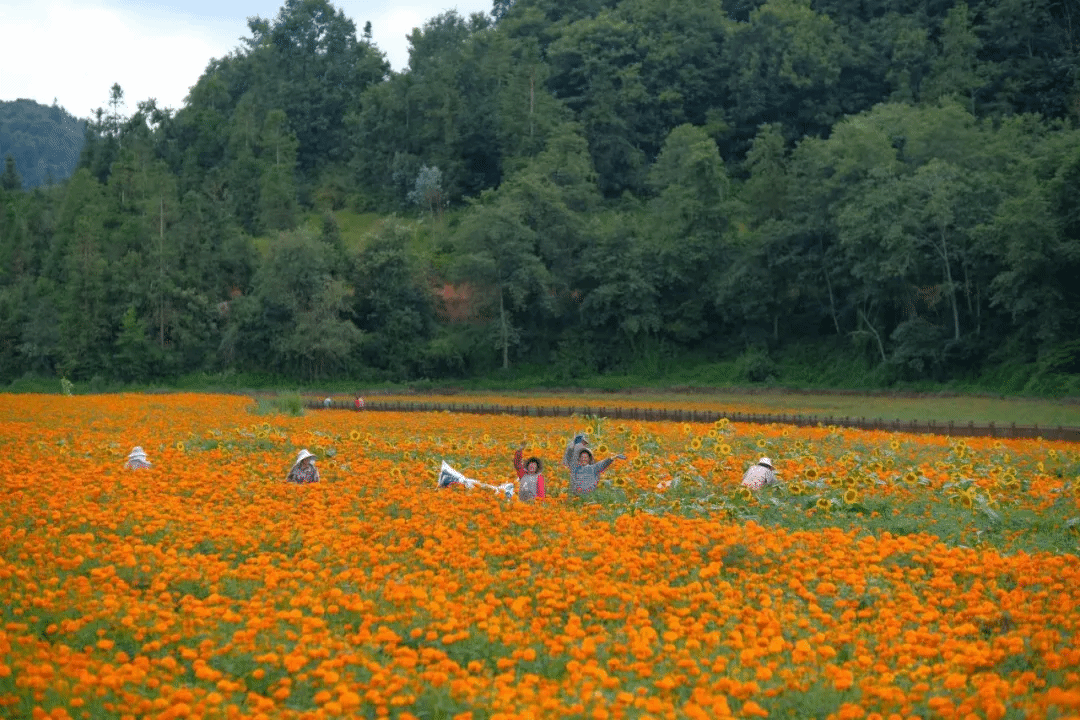 PA尊龙凯时 - 人生就是搏!