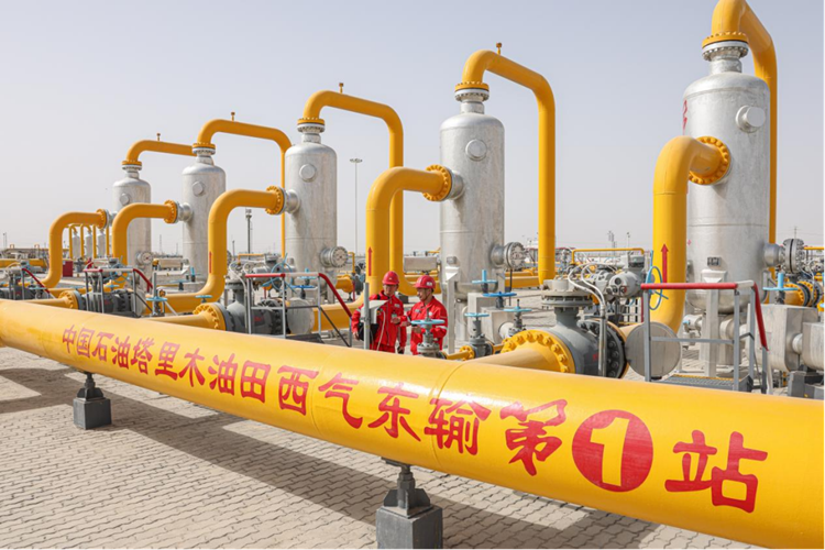 PA尊龙凯时 - 人生就是搏!