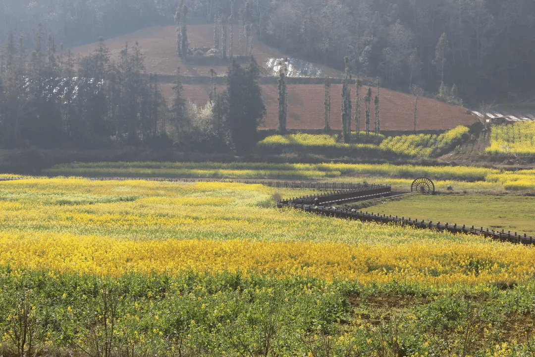 PA尊龙凯时 - 人生就是搏!