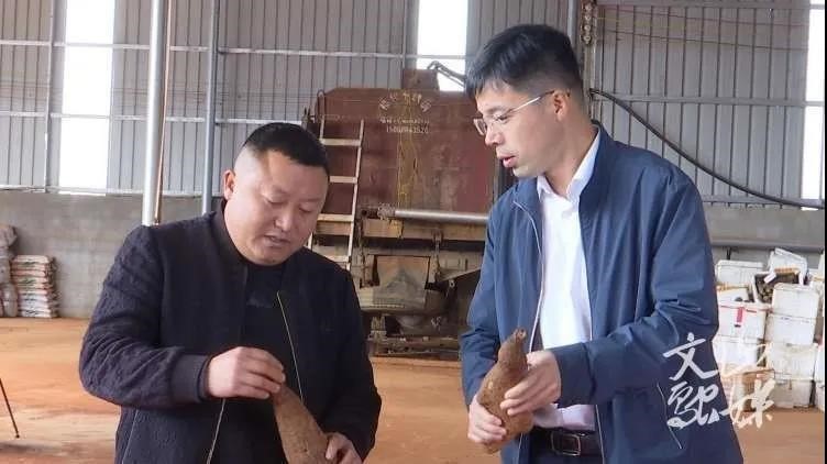 PA尊龙凯时 - 人生就是搏!