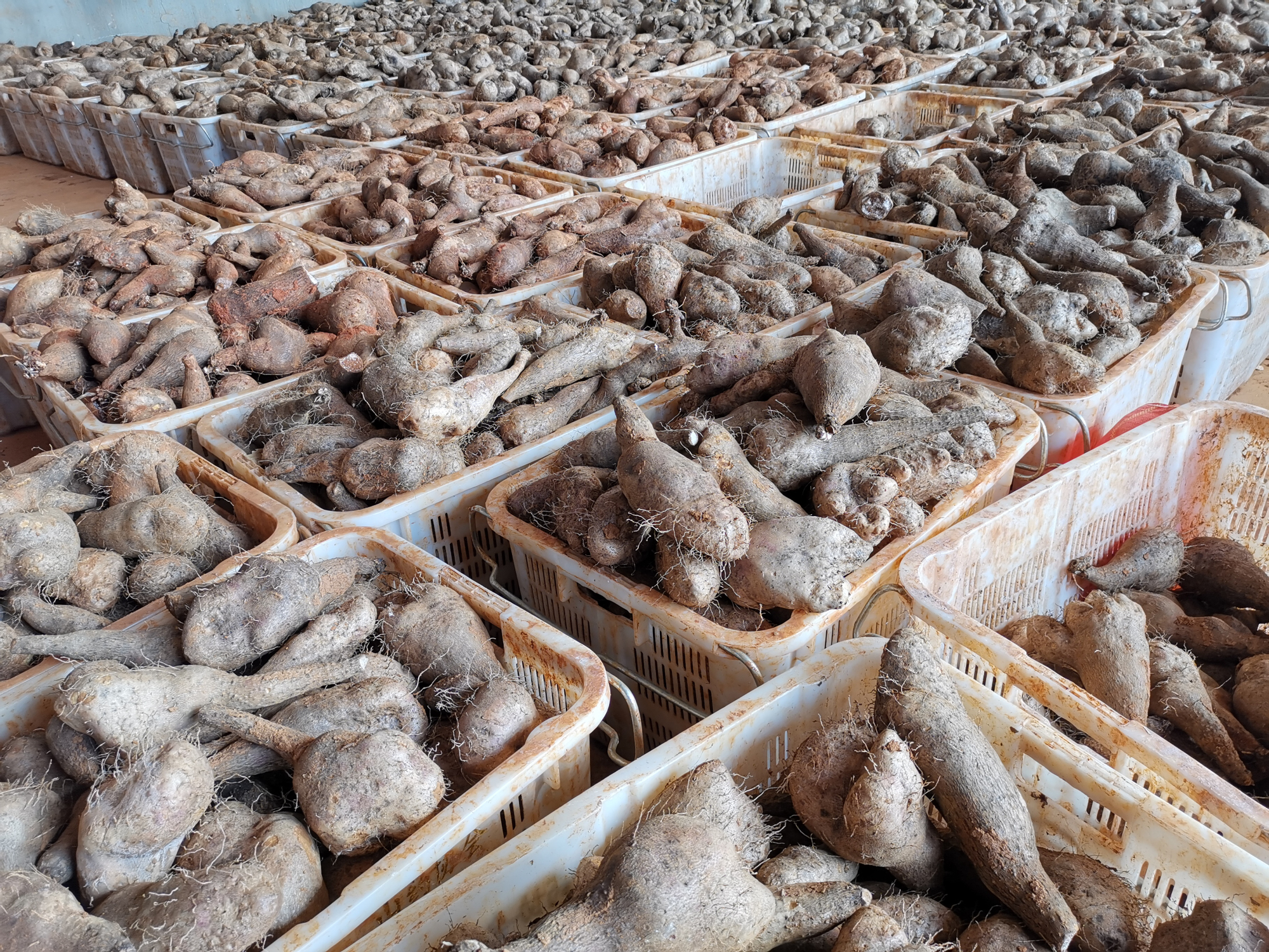 PA尊龙凯时 - 人生就是搏!